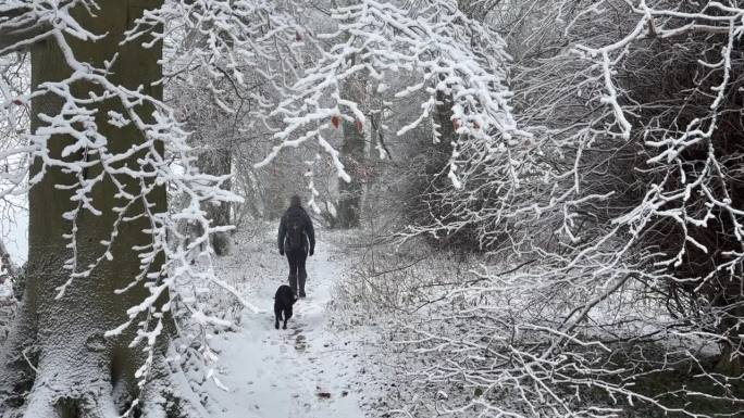 一个女人和她的黑色拉布拉多犬沿着小路走过一片令人惊叹的白雪皑皑的森林