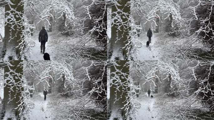 一个女人和她的黑色拉布拉多犬沿着小路走过一片令人惊叹的白雪皑皑的森林