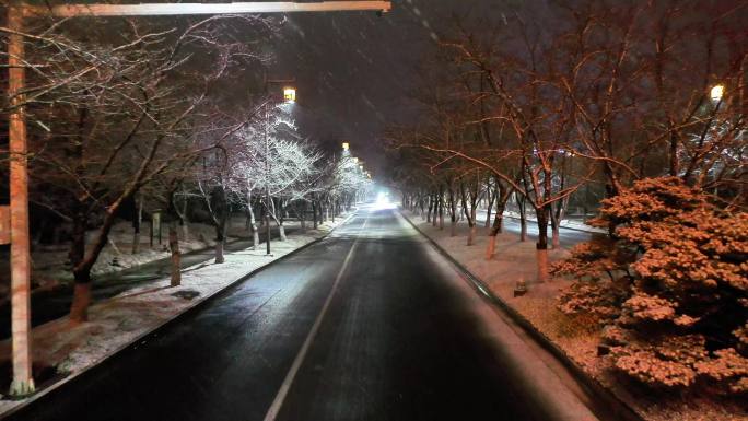 航拍鉴真路扬州雪景夜景鉴真像飘雪