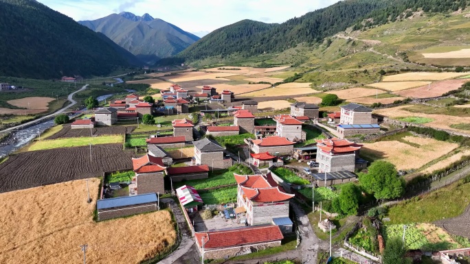 四川甘孜航拍贡嘎山乡上埕子村秋色田园