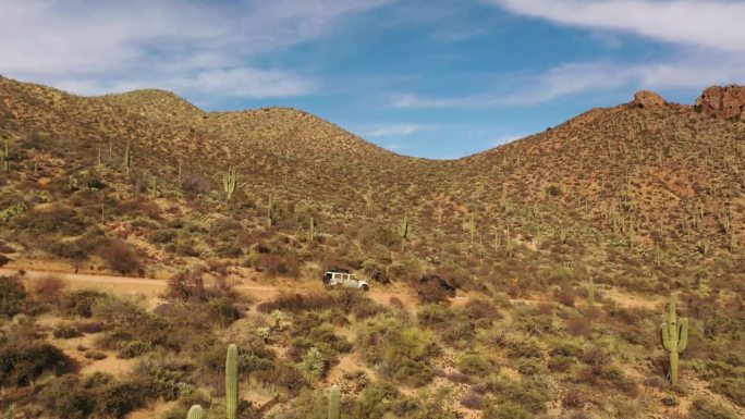 两辆吉普车开在亚利桑那州索诺兰沙漠的一条土路上。