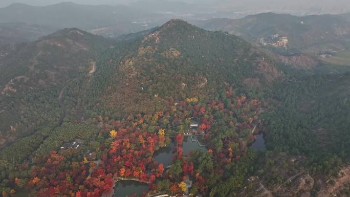 天平山红枫航拍