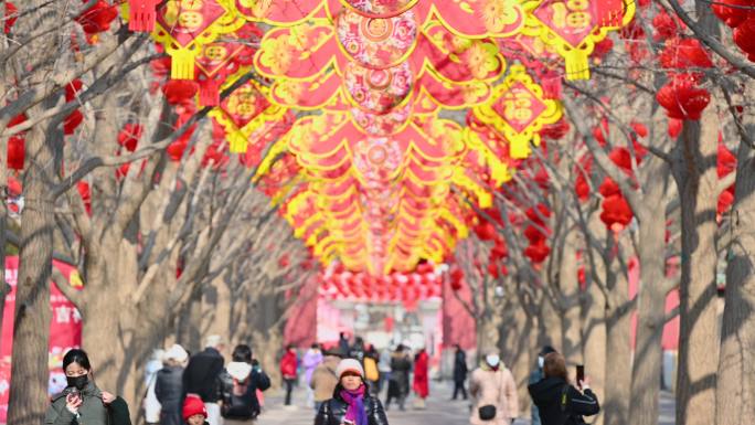 北京地坛春节文化庙会红灯笼