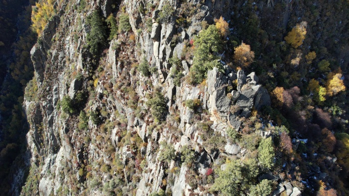 西藏雅鲁藏布江达古峡谷两岸的雪山