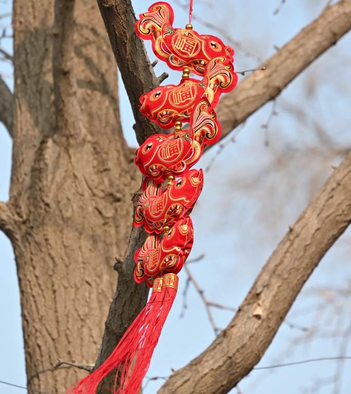 北京孔庙春节金鱼中国结吉祥物挂饰树挂