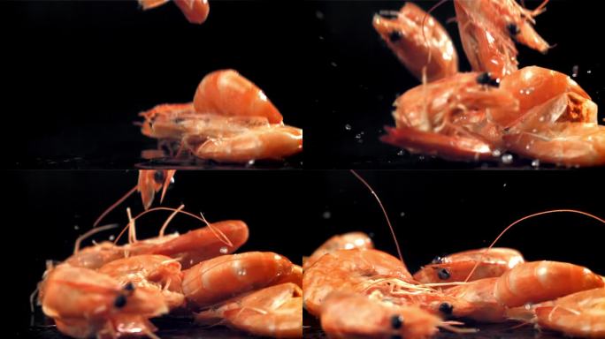 虾落在黑色背景上。用高速摄像机拍摄，每秒1000帧。