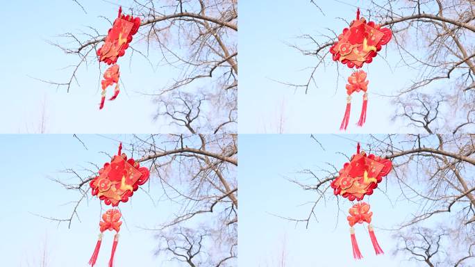 北京孔庙春节金鱼中国结吉祥物挂饰树挂