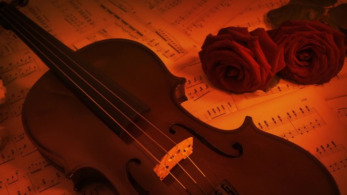 音乐会小提琴和玫瑰在火光浪漫的场景