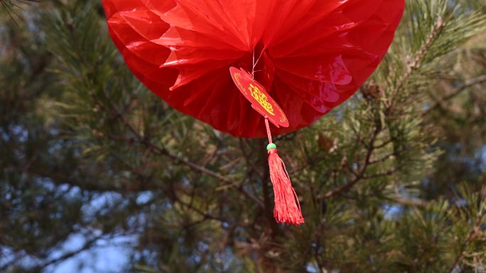 北京地坛春节文化庙会悬挂节日红灯笼