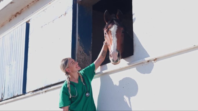 护士，妇女和马在农场照顾与触摸，微笑和快乐的帮助与爱。医生，兽医和马动物与中风，善良或健康的农村牧场