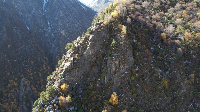 西藏雅鲁藏布江达古峡谷两岸的雪山