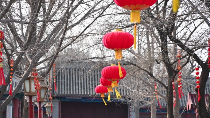 北京孔庙春节红灯笼吉祥物挂饰树挂