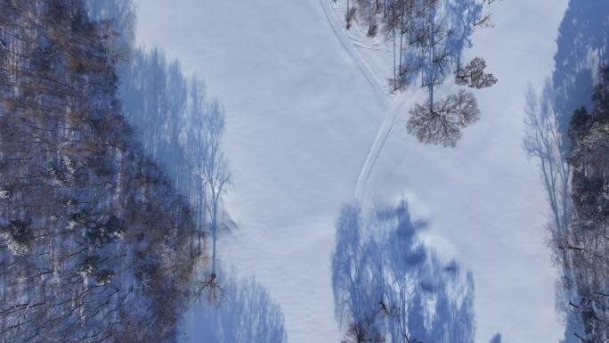 沈阳盛京高尔夫雪景4K航拍