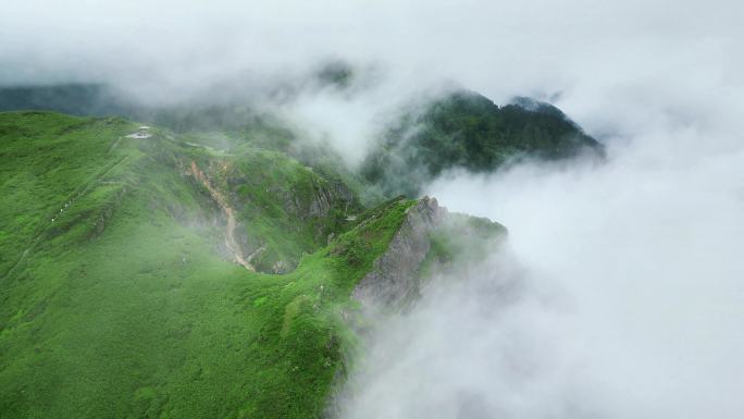 山谷峡谷迷雾缭绕神农谷航拍