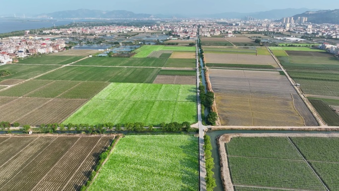 航拍福建漳州龙海菜地乡村田园