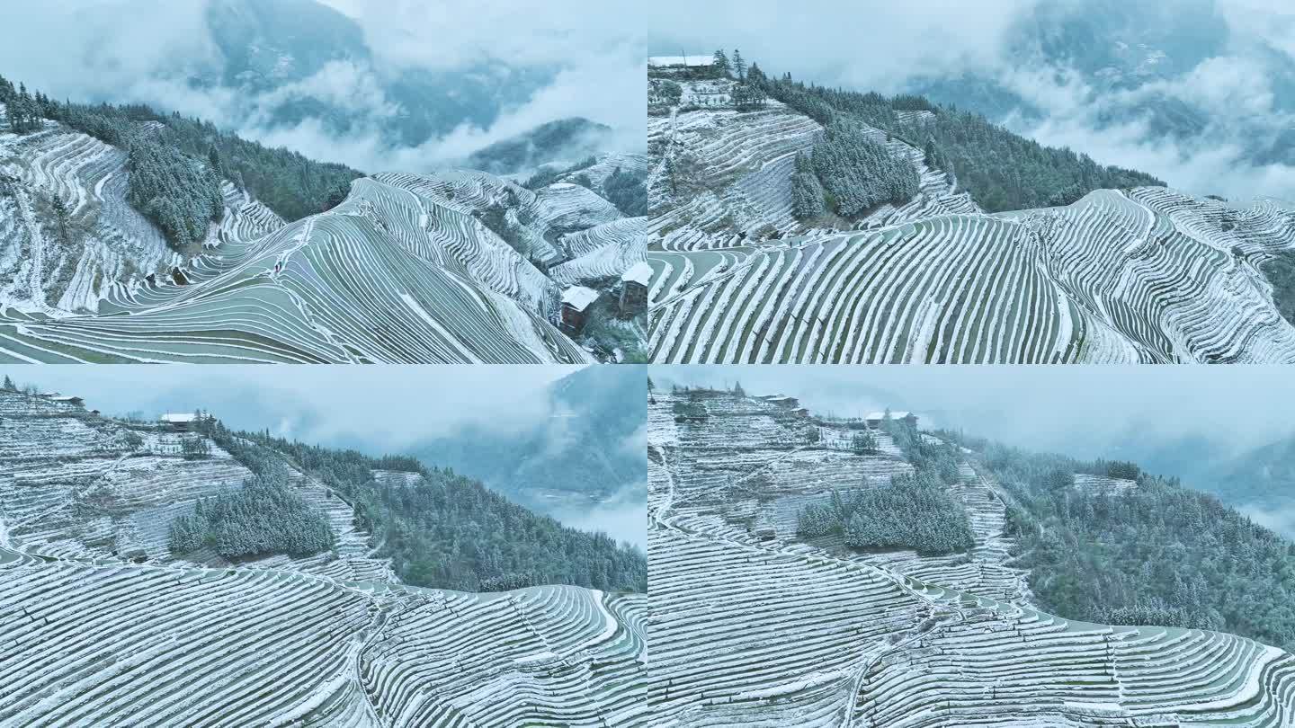广西龙脊梯田24年雪景4k高清原创