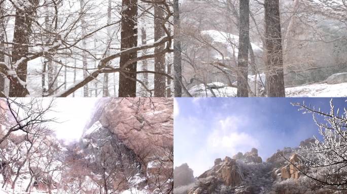 森林唯美雪景合集 唯美下雪意境