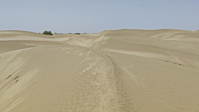 塔克拉玛干沙漠中行走的第一视角