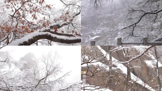 冬天雪景 唯美雪景 山中下雪降雪