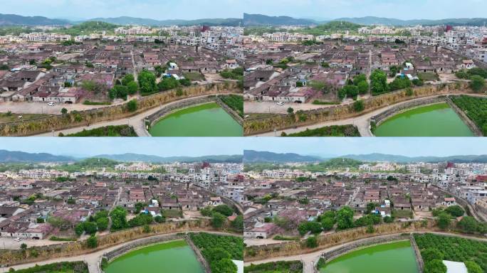 航拍福建漳州漳浦诒安堡闽南古民居