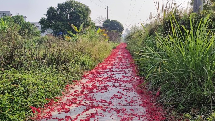 铺满红纸碎片乡村小路上遍地鞭炮红纸碎片路