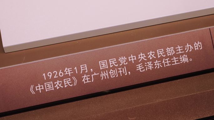 中国农民 刊物原件 农门运动