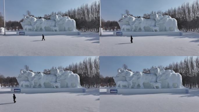 哈尔滨太阳岛雪博会