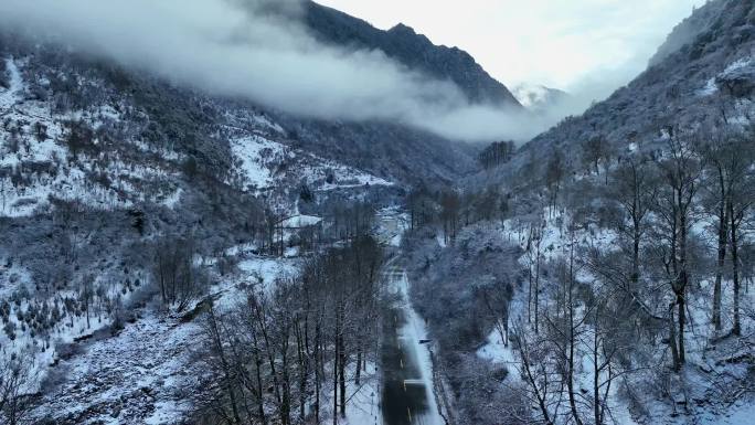 四川阿坝航拍清晨雪后的四姑娘山双桥沟雪景