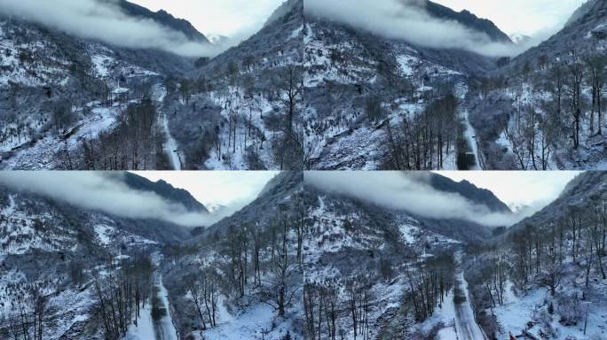 四川阿坝航拍清晨雪后的四姑娘山双桥沟雪景