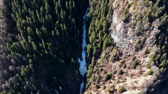 航拍四川阿坝四姑娘山双桥沟森林冰瀑风光