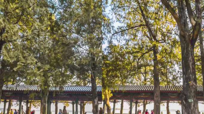 北京颐和园长廊旅游人群大范围移动延时