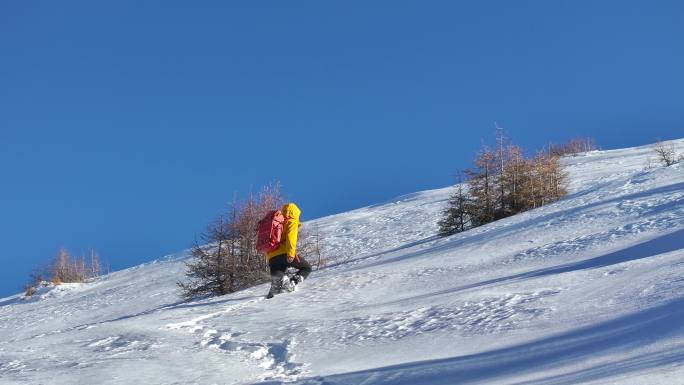 实拍登雪山画面