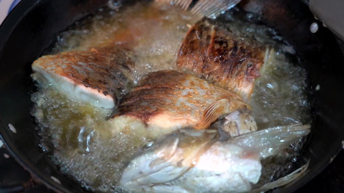 河大鲤鱼 餐饮 烹饪美食做鱼 熬骨汤