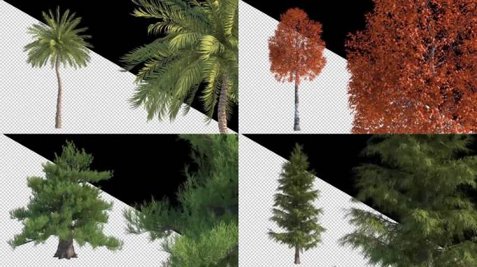 树木4K动画带通道