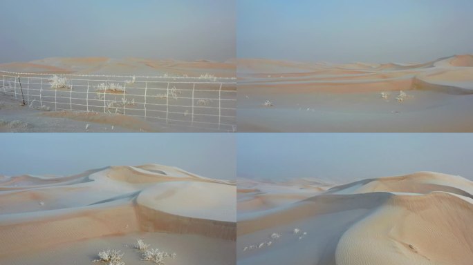 沙漠霜景