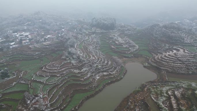 农村下雪视频素材