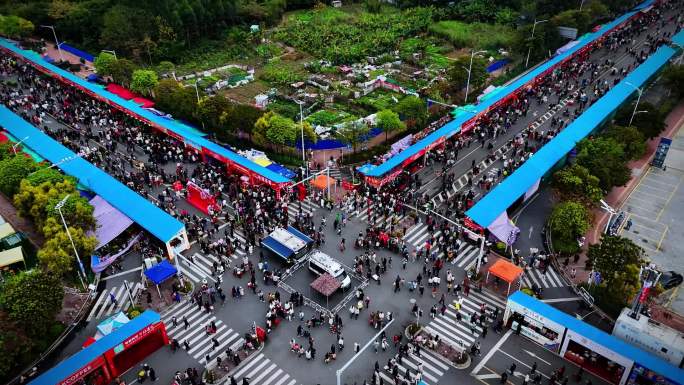 花市航拍全景