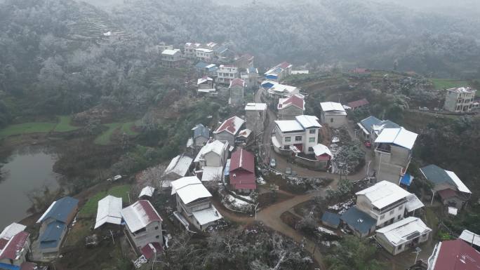 农村下雪视频素材