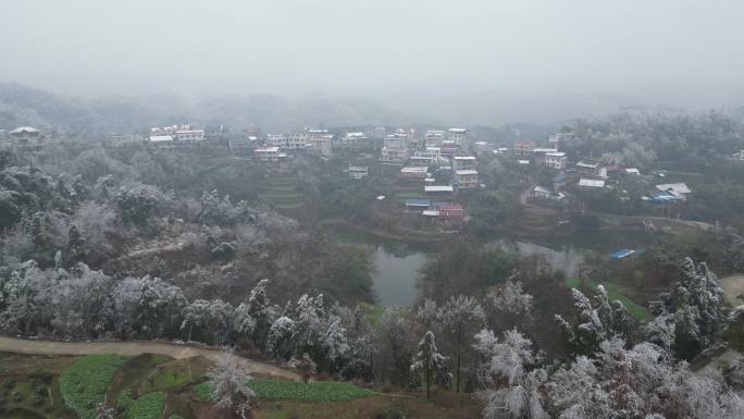 农村下雪视频素材