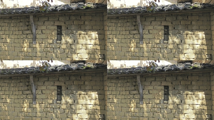 农村老房子墙上的树影4K HDR