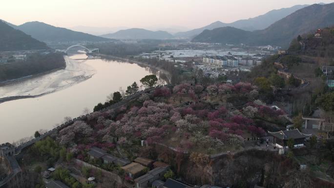 台州临海市台州府城文化旅游区梅园