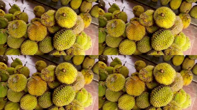 新鲜的榴莲。香气浓郁的亚洲水果。当地市场的榴莲