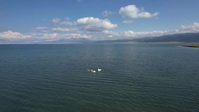 航拍新疆赛里木湖景区