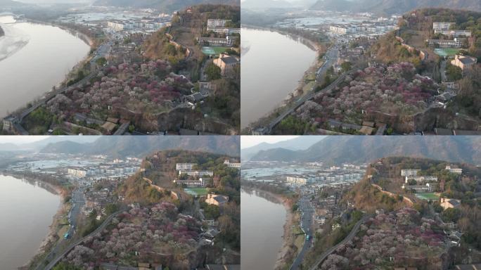 台州临海市台州府城文化旅游区梅园