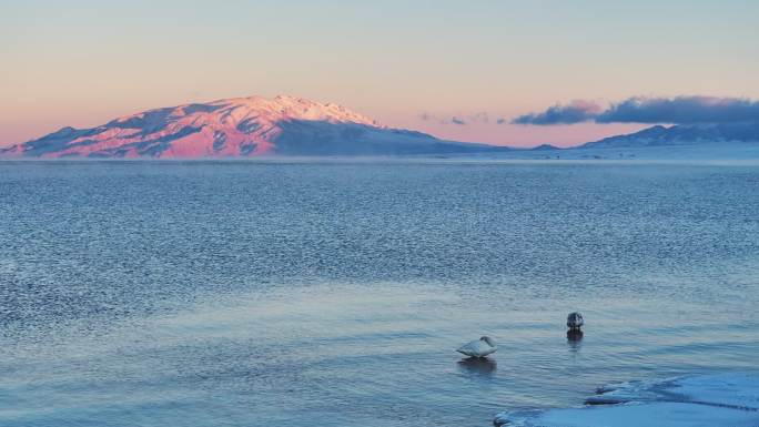 新疆博州赛里木湖冬季日落天鹅雪山航拍风景