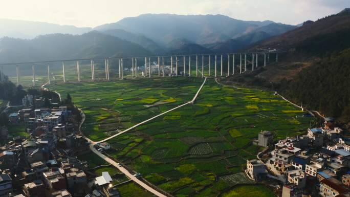 乡村振兴 美丽乡村 花海田园 油菜花