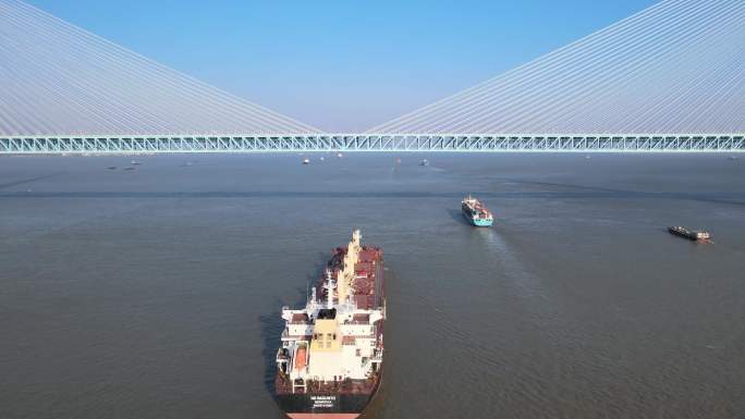 大型船舶开普船过沪苏通大桥
