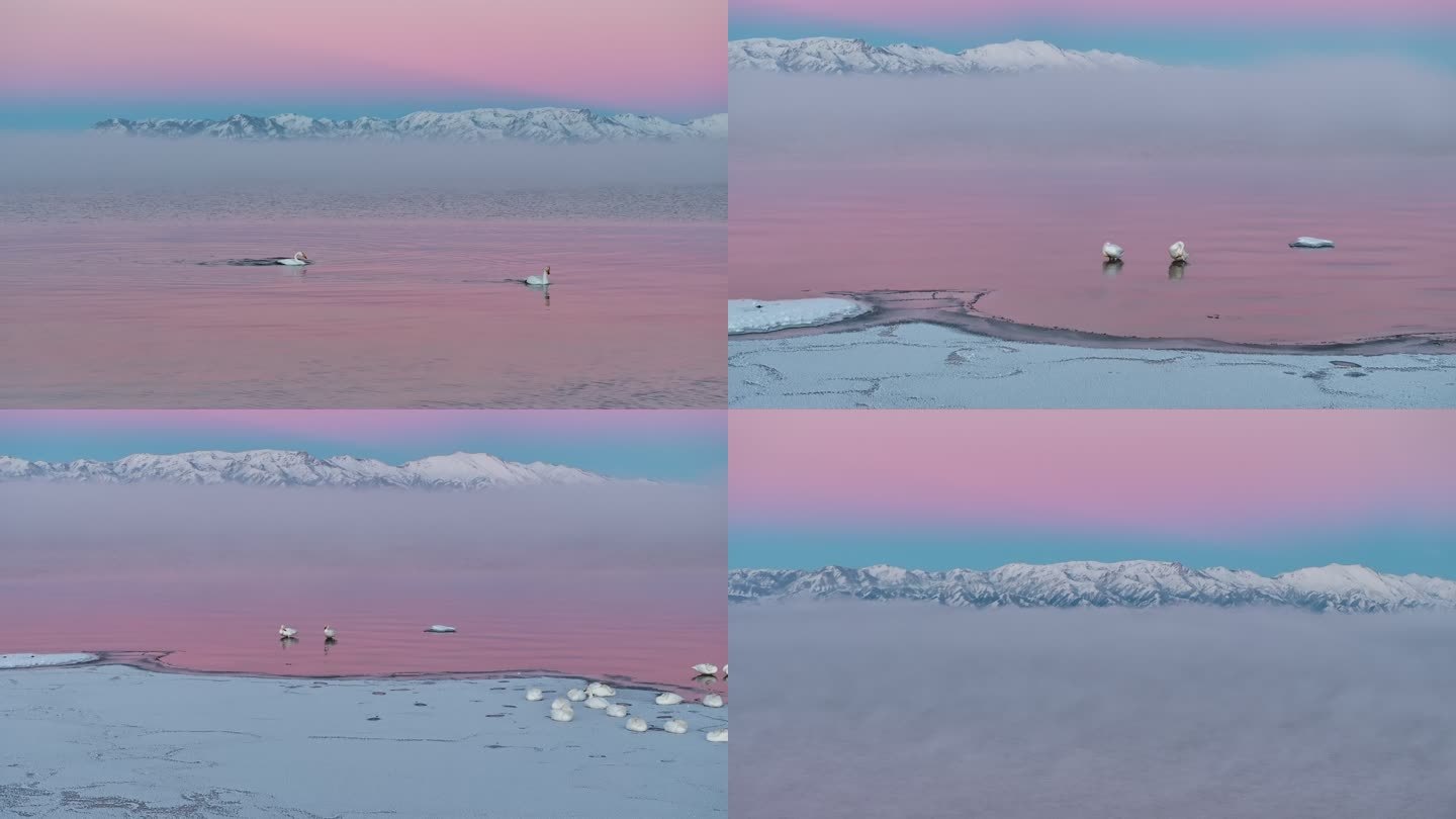 新疆博州赛里木湖冬季日落粉调雪山航拍