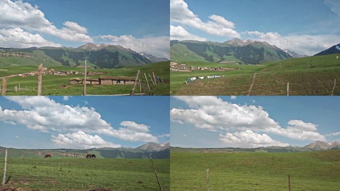 开车路过新疆的草场和马 车窗外风景