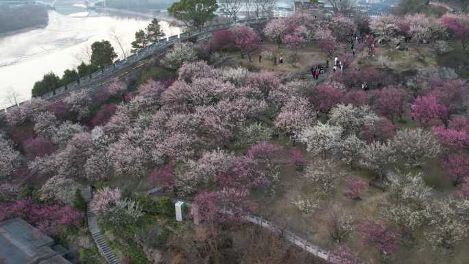 台州临海市台州府城文化旅游区梅园